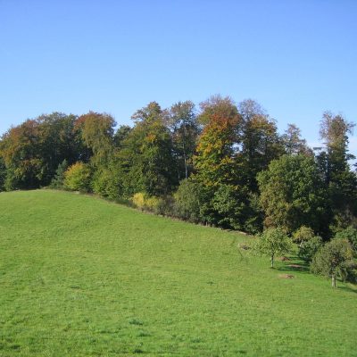 Draussen-005